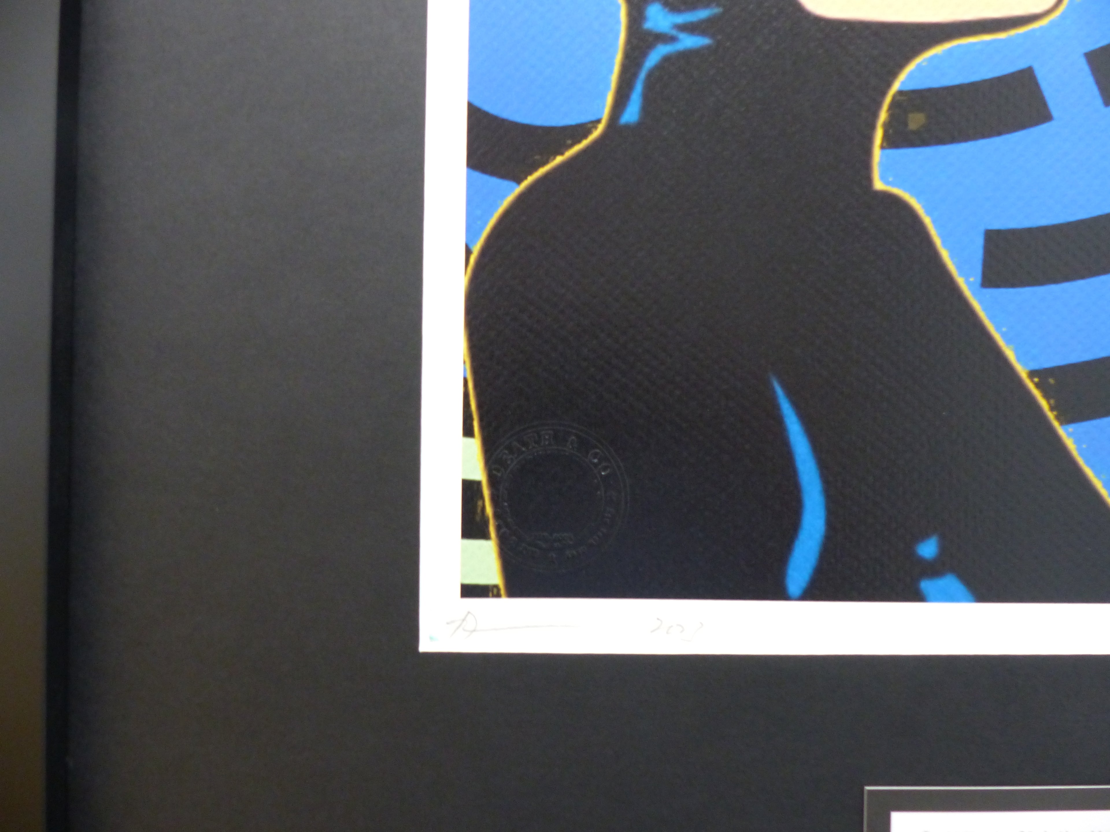 DEATH NYC fertig gerahmte Lithografie ltd Edit of 100  "Catwoman Batman" 3D Siegel COA
