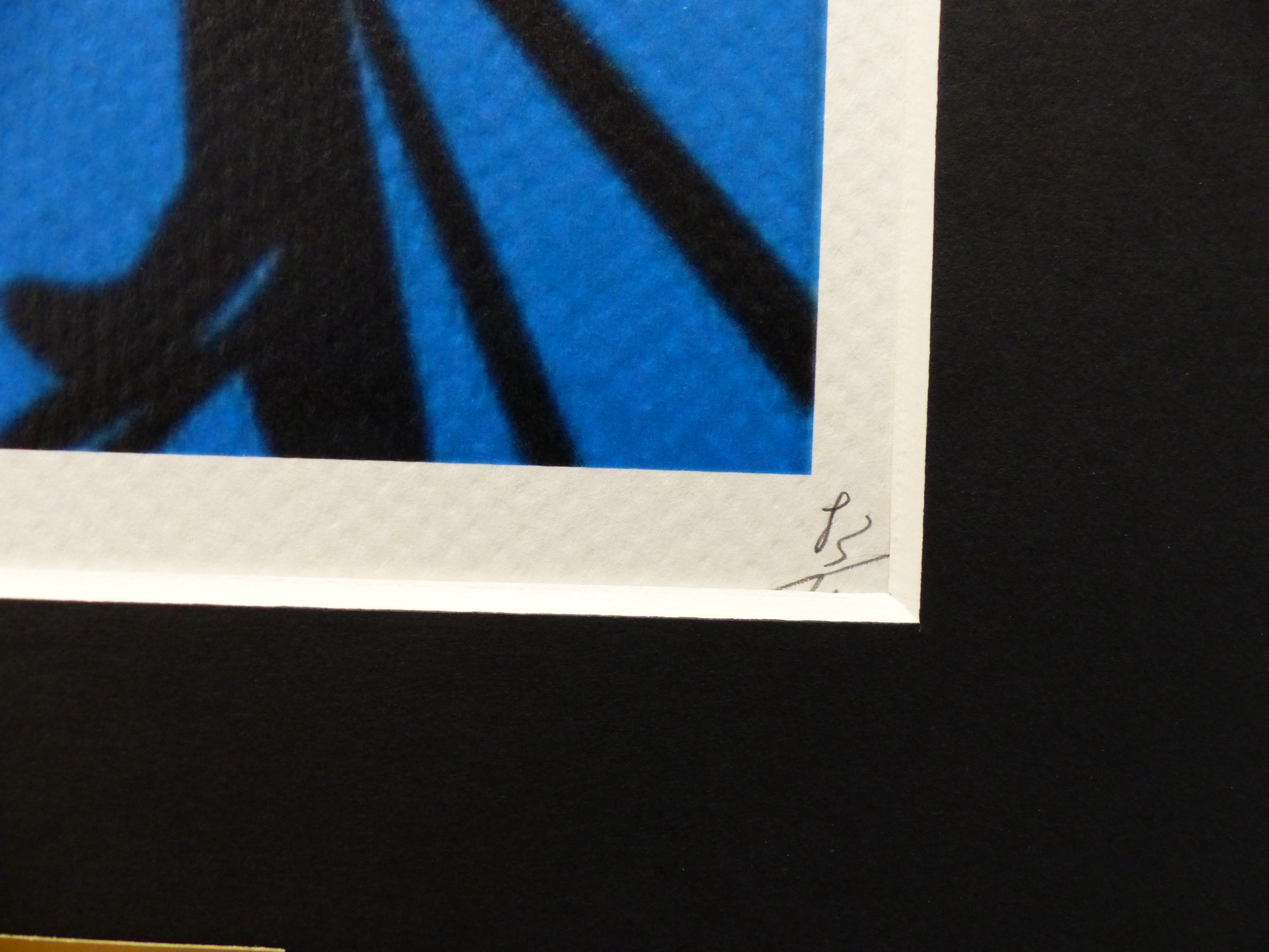 DEATH NYC fertig gerahmte Lithografie ltd Edit of 100  "Catwoman Batman" 3D Siegel COA