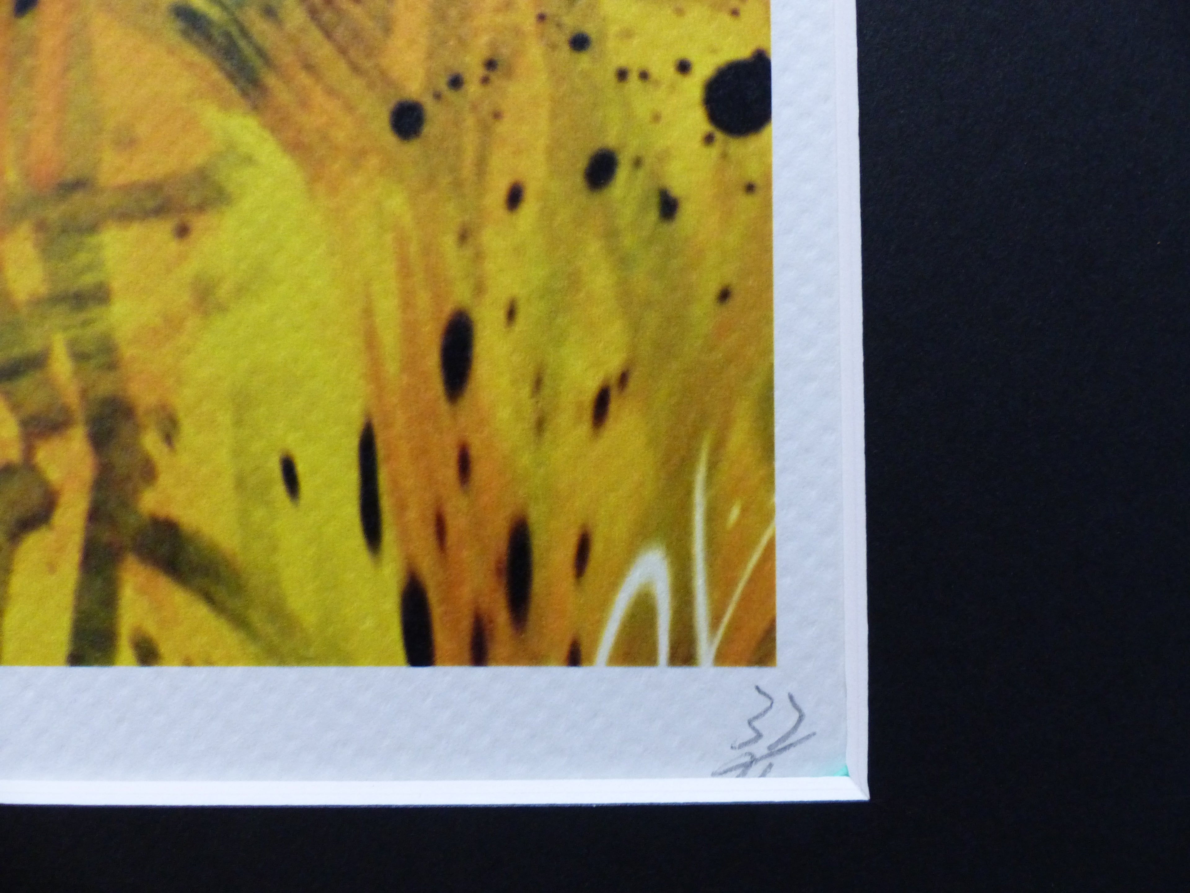 DEATH NYC fertig gerahmte Lithografie ltd Edition of 100 " Death Smiley " 3D Siegel COA
