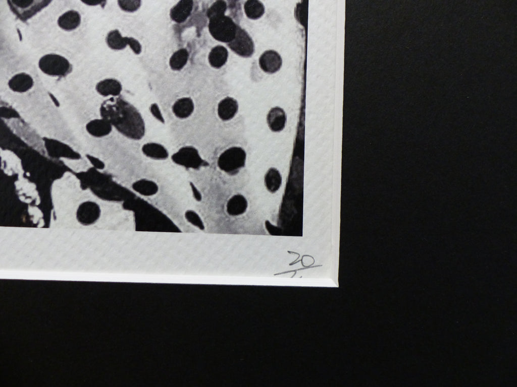DEATH NYC fertig gerahmte Lithografie ltd. Edition of 100 "Madonna" 3D Siegel COA