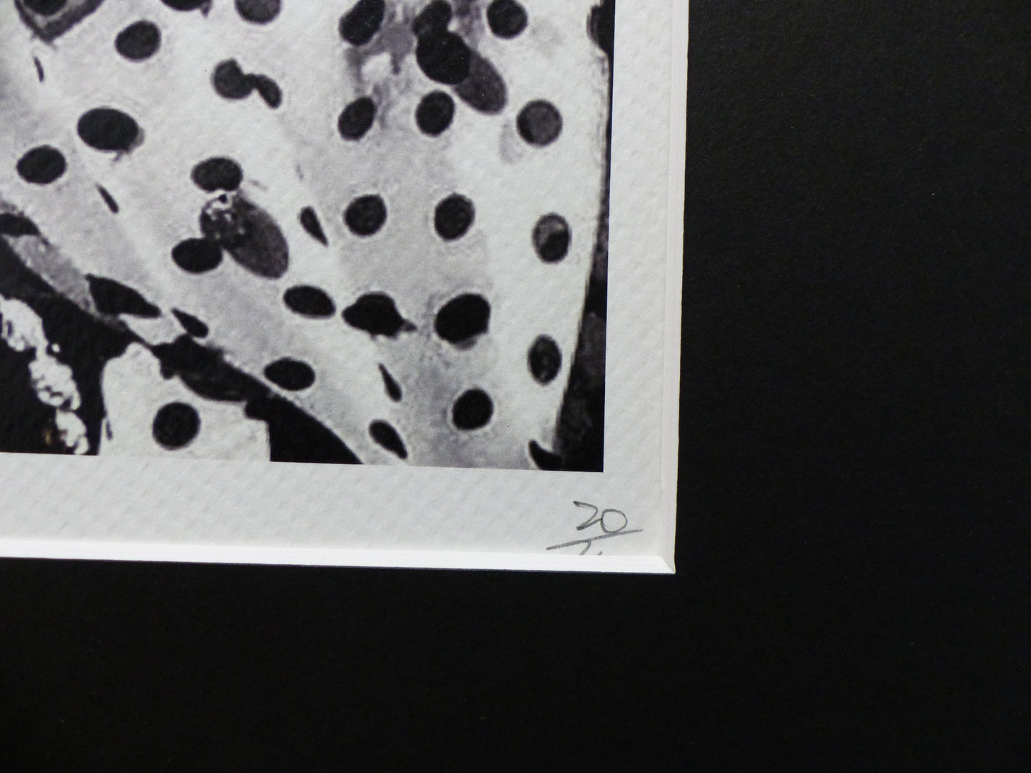 DEATH NYC fertig gerahmte Lithografie ltd. Edition of 100 "Madonna" 3D Siegel COA