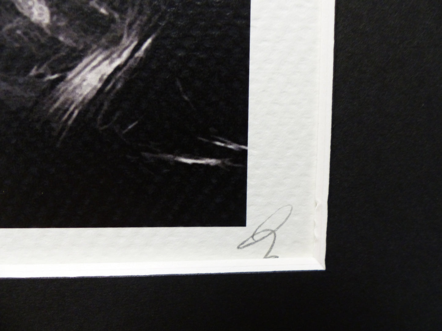 DEATH NYC fertig gerahmte Lithografie ltd Edition of 100"Madonna green" 3D Siegel COA