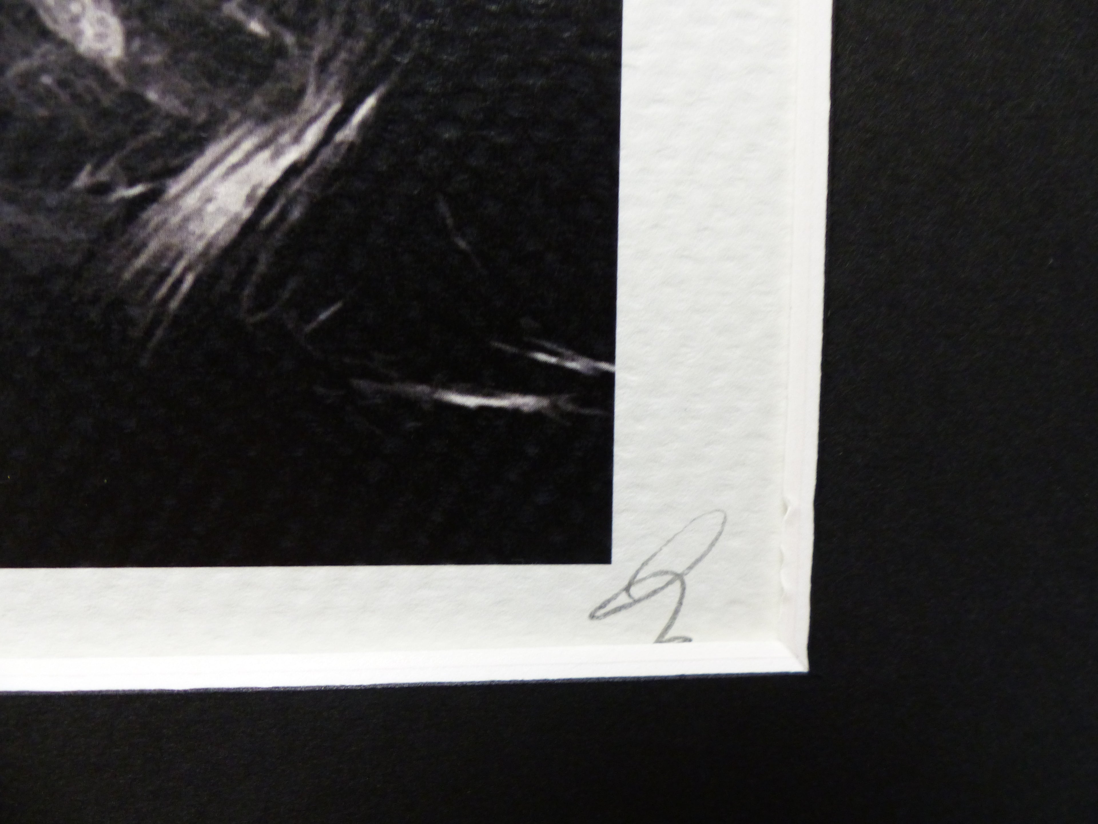 DEATH NYC fertig gerahmte Lithografie ltd Edition of 100"Madonna green" 3D Siegel COA