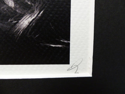DEATH NYC fertig gerahmte Lithografie ltd Edition of 100"Madonna green" 3D Siegel COA