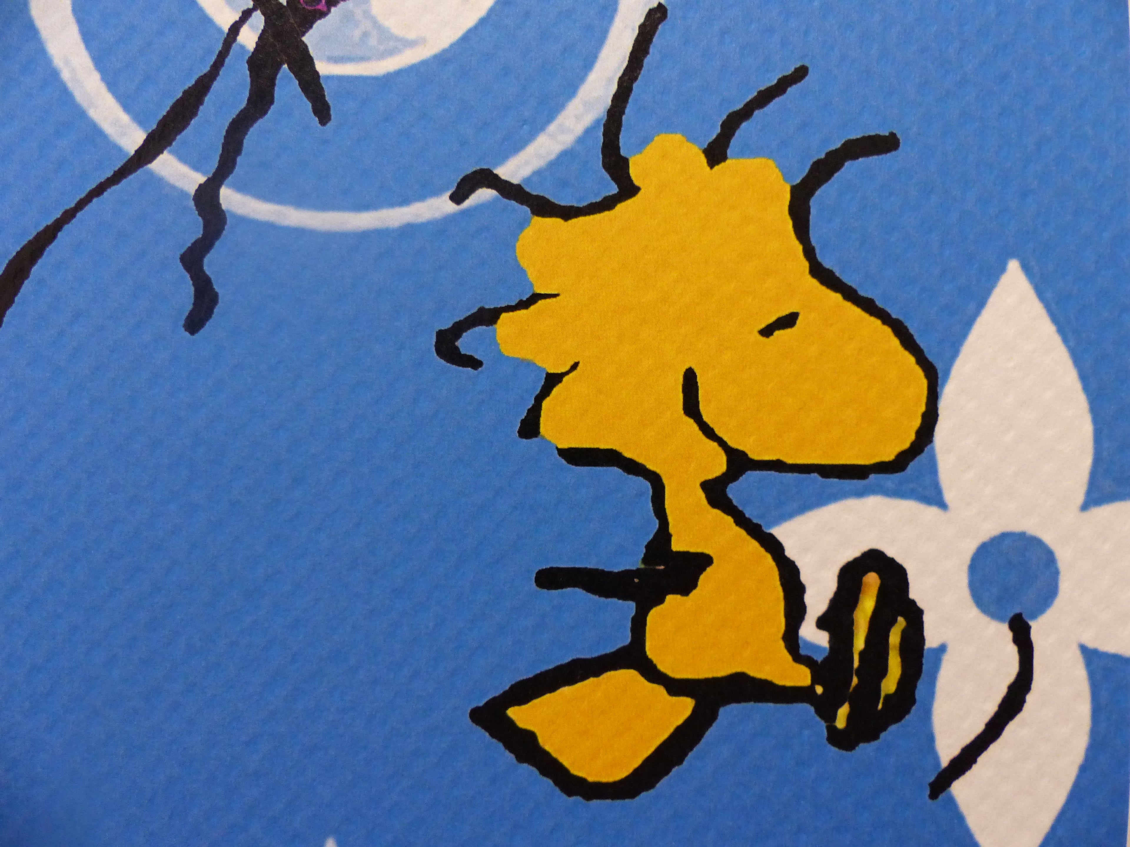DEATH NYC fertig gerahmte Lithografie ltd.Edit. of 100 "Skateboard Snoopy" 3D Siegel COA