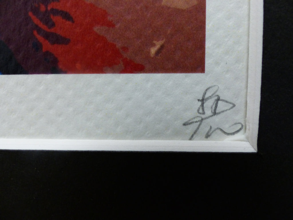 DEATH NYC "GERAHMT" Lithografie ltd.Edit. of 100 "Jimi Hendrix" 3D Siegel COA