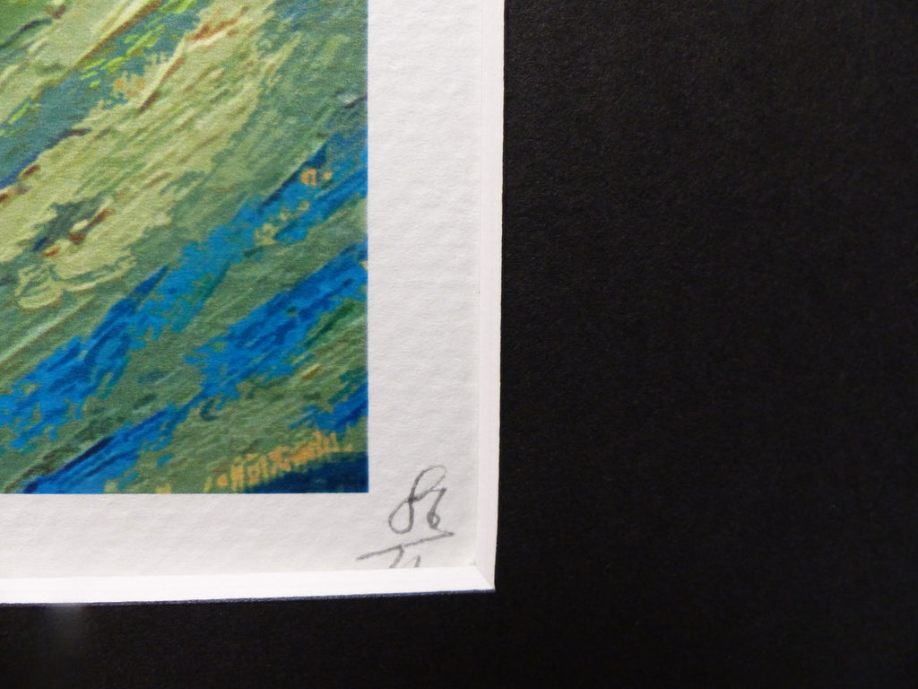 DEATH NYC gerahmte Lithografie ltd edit of 120 "Flying Snoopy" 3D Siegel COA Zertifikat