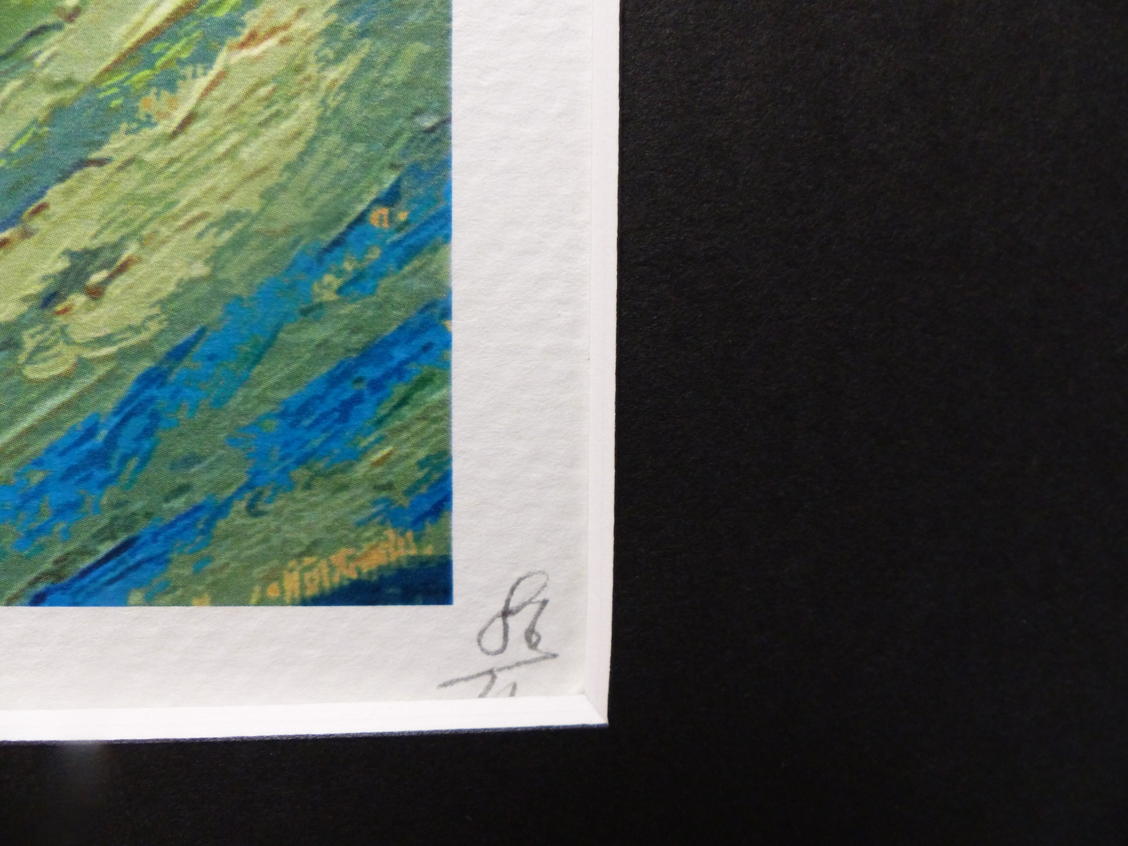 DEATH NYC gerahmte Lithografie ltd edit of 120 "Flying Snoopy" 3D Siegel COA Zertifikat