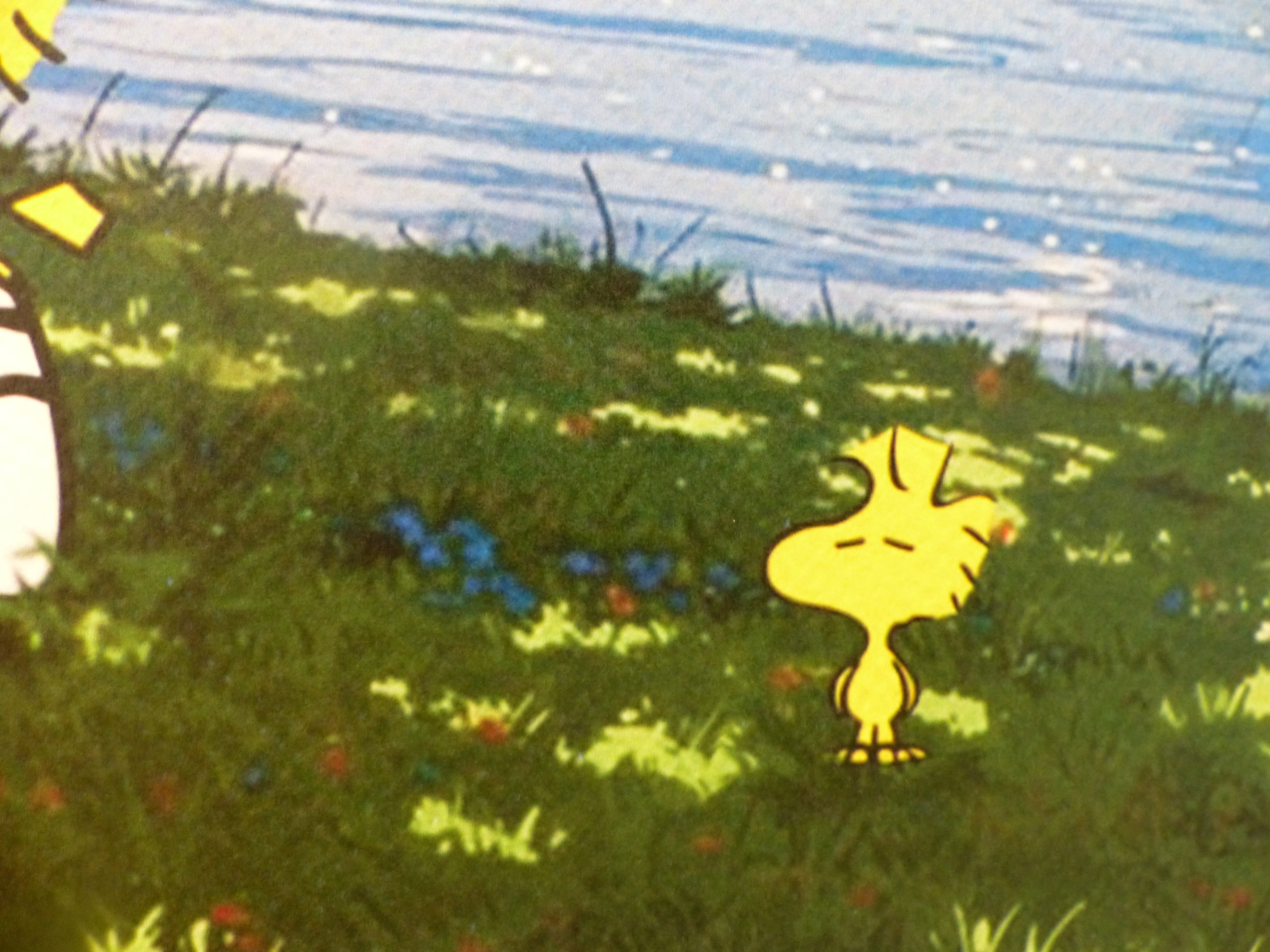 DEATH NYC gerahmte Lithografie ltd edit of 120 "Chilling Snoopy and Woodstock" 3D Siegel COA Zertifikat