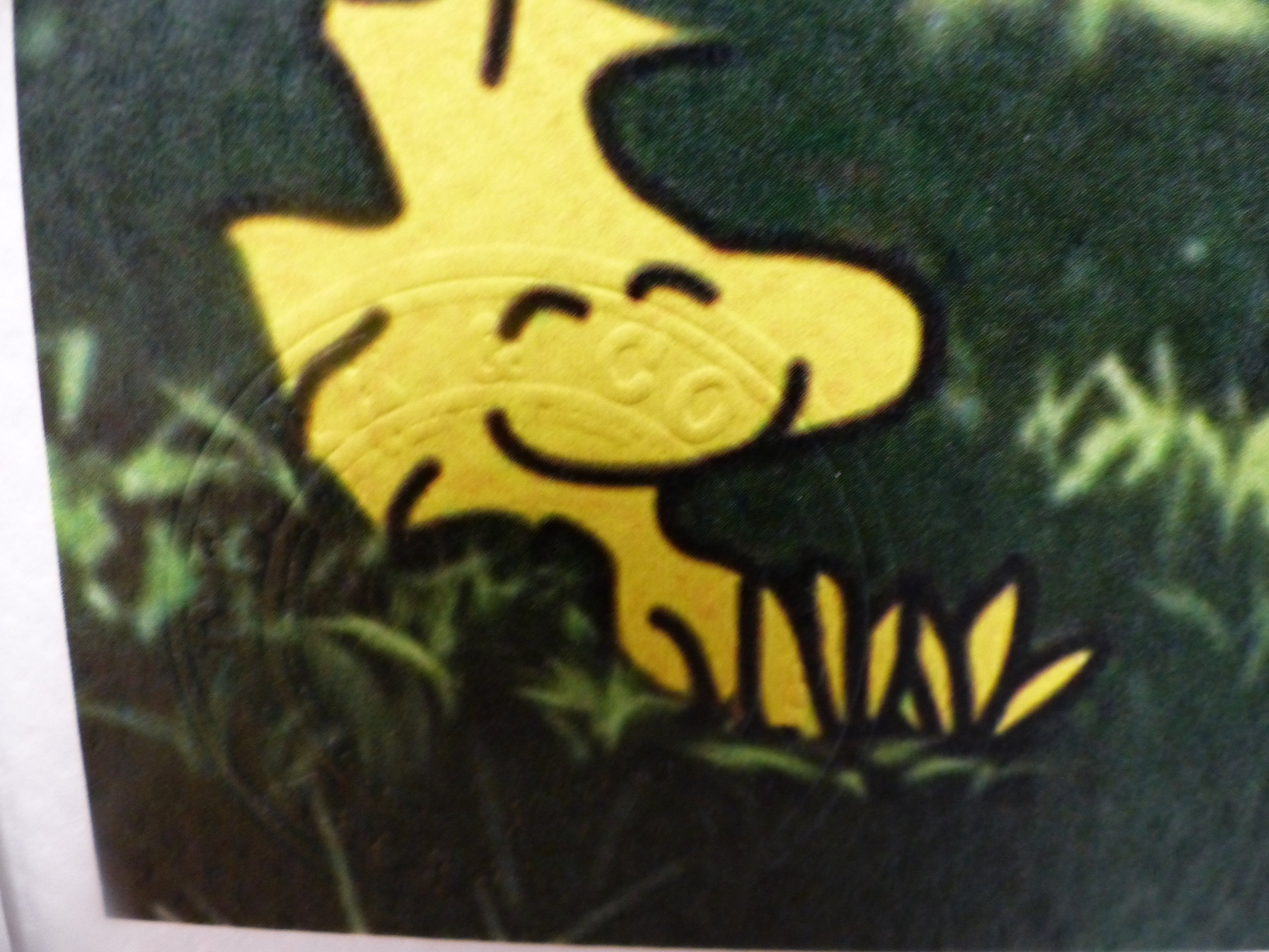 DEATH NYC gerahmte Lithografie ltd edit of 120 "Chilling Snoopy and Woodstock" 3D Siegel COA Zertifikat