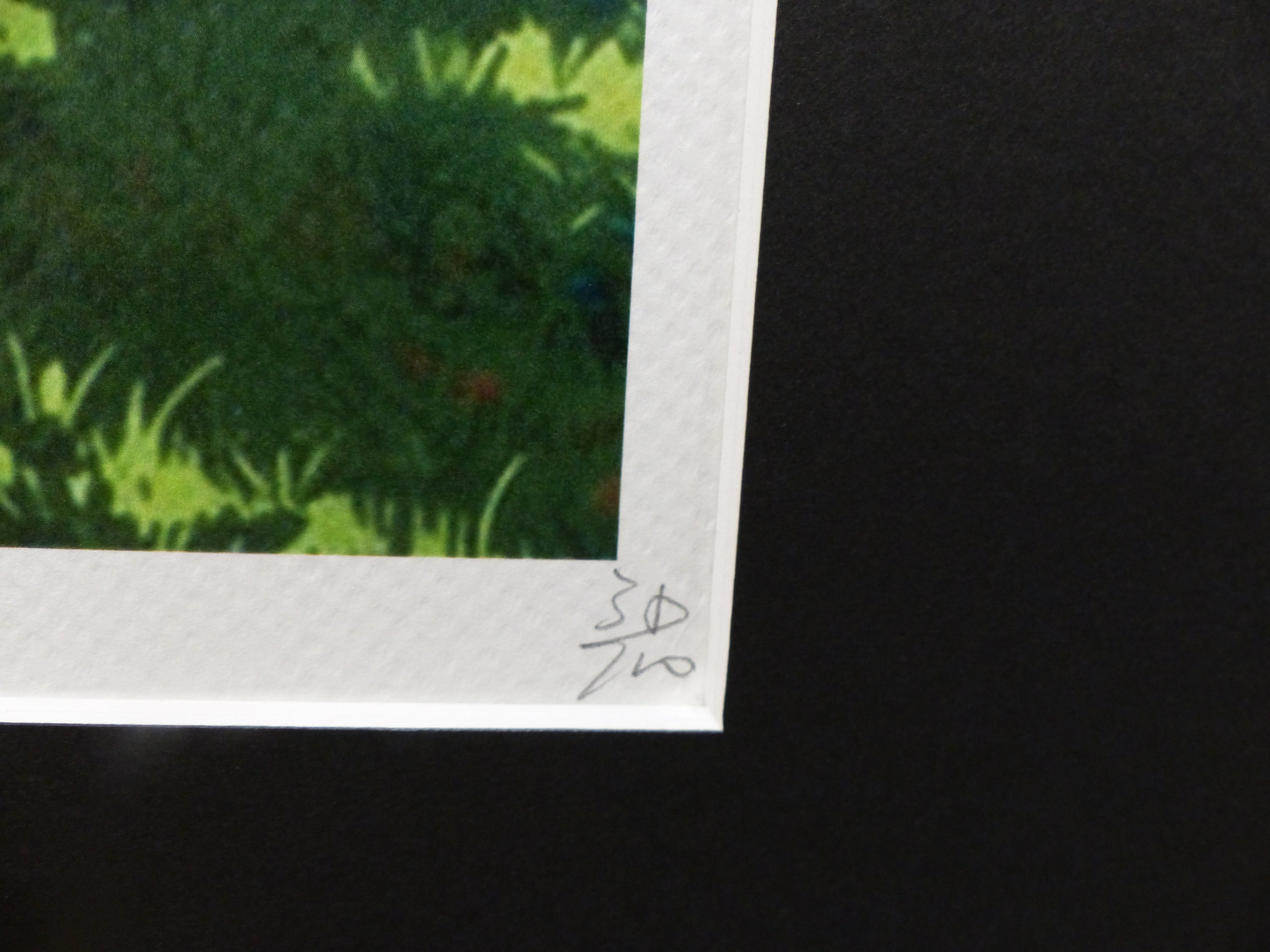DEATH NYC gerahmte Lithografie ltd edit of 120 "Chilling Snoopy and Woodstock" 3D Siegel COA Zertifikat